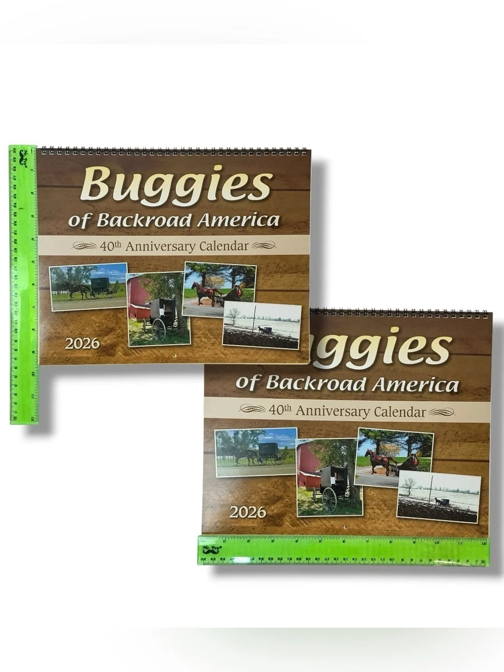 None amish buggies